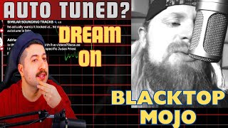 IS THIS AUTO TUNED Blacktop Mojo  quotDream Onquot Cover [upl. by Abekam458]