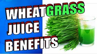 14 Health Benefits of Drinking Wheatgrass Juice Including Cancer Weight Loss amp Hair [upl. by Rabin410]