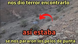 mis aventuras del oeste 381 encontramos esto en el desierto se nos pararon los pelos de punta [upl. by Araid]