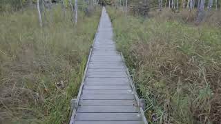 Maine Coast Day 4 Jesup Path [upl. by Rucker506]