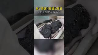 魚子醬為什麼賣這麼貴，需要耗費多少年時間，又是怎樣的製作工藝！nature wildlife animal wildanimals animals 猛獸世界 動物 [upl. by Karla]