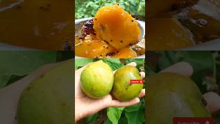 delicious mango fruit curry shortvideo shorts mango mangocurry mangorecipe mangofruit fruit [upl. by Nirred]