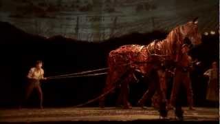 War Horse Toronto [upl. by Warrenne333]