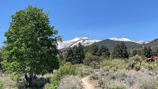 Reno NV Lower White’s Creek Trail West Coast Hiking Road Trip Part 9 [upl. by Awahsoj]