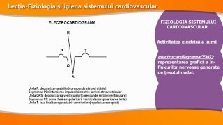 FIZIOLOGIA ȘI IGIENA SISTEMULUI CARDIOVASCULAR [upl. by Hiltner]