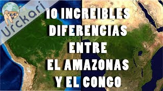 10 Increíbles Diferencias entre Las selvas del Amazonas y el Congo [upl. by Fletcher414]