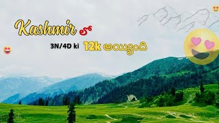 Exploring కాశ్మీర్ in 12k🗻 Budget లో Srinagar 🚣 Gulmarg 🚠 Pahalgham వెళ్ళాము 😍kashmir travel [upl. by Kushner]