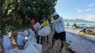 Seawall Work With My Siblings🇫🇯🇩🇰 [upl. by Ashmead]