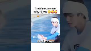 how cute our baby tiger is bts shortvideo creatforindia [upl. by Drahnreb]