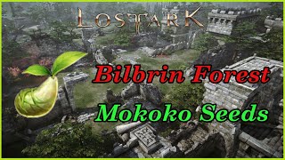 Lost Ark Bilbrin Forest Mokoko Seeds locations [upl. by Norita]