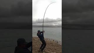 Yamula Barajı Kamp balıkçılık fishing carpfish balık [upl. by Clarissa]