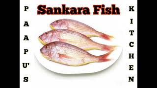 Sankara Fish Fry Recipe In Tamil  kilimeen Fry  Pink Perch Fish Fry  Red Snapper Fish Fry [upl. by Nauqe295]