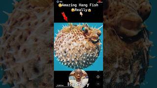 Amazing Hanging Fishcroco fish 🐠😱🤯 on Google Earth 🌎 and Google maps shorts Fun With Earth [upl. by Niel]