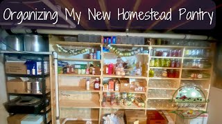 Nesting at 24 Weeks Pregnant I Finally Have a Homestead Pantry [upl. by Laira]