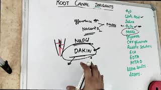 root canal irrigants [upl. by Renat]