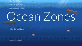 Ocean Zones  Nautilus Live [upl. by Aiyekal]