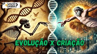 Evolução vs Criação Quem Está Certo [upl. by Bellaude905]