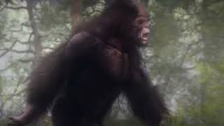 Bigfoot custom sound effects [upl. by Foscalina]