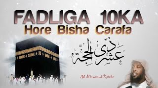 FADLIGA 10 HORE EE DULXIJA CARAFA ᴴᴰ┇ Sh Maxamuud Xaliike [upl. by Lorilee]