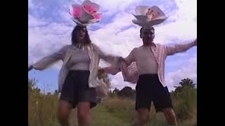 Rubblebucket  quotCherry Blossomquot Official Video [upl. by Gianni896]