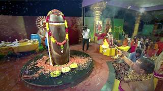 Lord Shiva Excellent Abhishekam  Siddhaguru  Ramanananda Maharshi [upl. by Ahsenet]