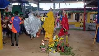 UCIWAI YOUNG BOYS TIRIKUTU GROUP MALAQEREQERE GANGAMMAN TEMPLE POOJA 2024 Part 2 [upl. by Sara-Ann]