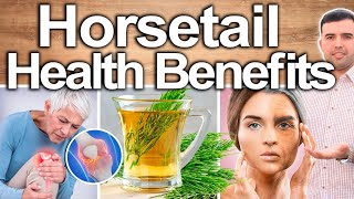 HORSETAIL EVERY DAY  Best Ways To Take Uses Side Effects And Contraindications [upl. by Piers]