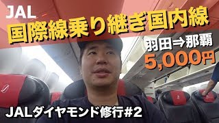 JAL羽田那覇で一気にFLY ONポイントを稼ぐ海外乗り継ぎでたった5000円のフライト [upl. by Aseeram]