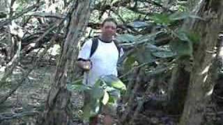 Hike to Captain Cooks Monument on Kealakekua Big Island Hawaii [upl. by Nicky]