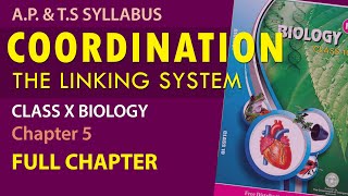 Coordination in Telugu Class10 Biology chapter5 FULL CHAPTER  AP amp TS Syllabus [upl. by Lathan]