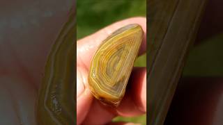 Lovely Limonite 💛 agate rocks crystals [upl. by Musa560]