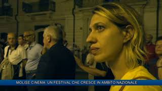 MOLISE CINEMA UN FESTIVAL CHE CRESCE IN AMBITO NAZIONALE [upl. by Smada465]