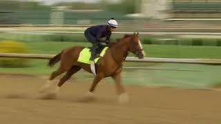 Triple Crown News Minute Presented By Equine Equipment Eager Contenders [upl. by Haeel]