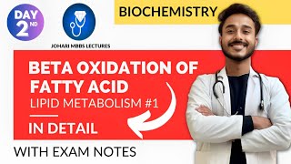 beta oxidation of fatty acid biochemistry  fatty acid oxidation pathway  fatty acid metabolism [upl. by Sand331]