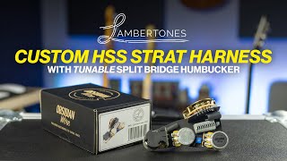 Lambertones  Obsidian Wire  HSS Solderless Harness Demo amp Review [upl. by Eenar]