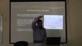 Biochemistry  Placental hormones  part 1 [upl. by Enitsugua]