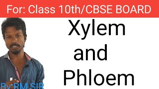 Difference between Xylem and Phloem I NEET BIOLOGY I class 10th [upl. by Tolmann409]