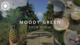 Moody Green VSCO Filter  vsco photo editing tutorial [upl. by Juieta]