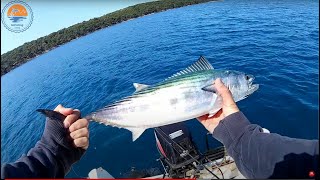 Proljetni spin  palamide Mali Lošinj 042022 Bonito spinning [upl. by Gnouhk]