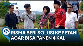 Ke Sawah Temui Petani Trenggalek Risma Beber Solusi Atasi Kekeringan Agar Bisa Panen 4 Kali Setahun [upl. by Obie688]