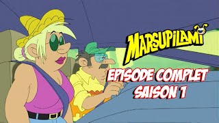 Le Marxupilami à la Rescousse de son Fils  EPISODE COMPLET 12  Marsupilami en Français [upl. by Ahsiekan]