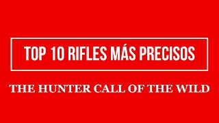 theHunter Call Of The Wild  CURIOSIDAD TOP 10 RIFLES MÁS PRECISOS AÑO 2020 [upl. by Nivag]