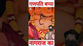 गणपति बप्पा के दरबार में नागराज का अनोखा चमत्कार shorts ganpati [upl. by Enniotna]