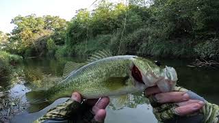 Paluxy Bass on the Fly during the fall transition [upl. by Kale]