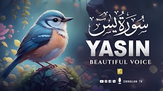 Ramadan Worlds most beautiful Quran recitation of Surah Yasin Yaseen سورة يس  Zikrullah TV [upl. by Nnep]