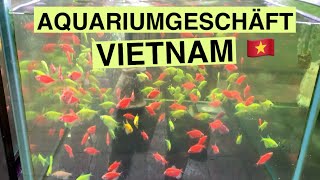 Aquariumgeschäft in Huế  Vietnam [upl. by Enyaw]