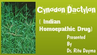 Cynodon Dactylon  Indian Homoepathic Drug [upl. by Yob]