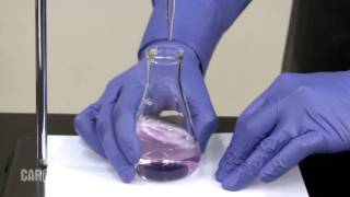 Setting up and Performing a Titration [upl. by Atalaya982]