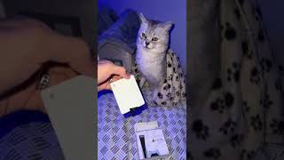 BARKING CAT UNBOXING PS5😂 fyp funny viral cat catsoftiktok feed ps5 kitten short CredDEKSY [upl. by Luttrell369]