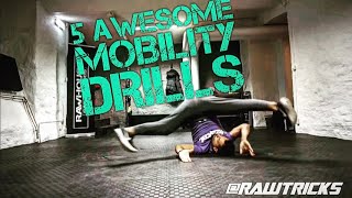 Improve Strength and Mobility with these 5 awesome Exercises [upl. by Otrebilif]